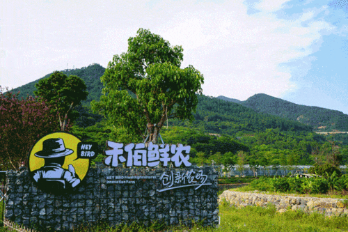 厦门人注意 国庆度假新模式来了 你还不知道