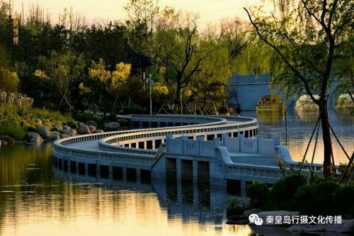 戴河生态园,秦皇岛锦绣蓝图上的一条精美飘带