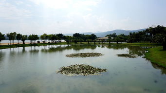 云南弥勒市 锦屏山 可邑小镇 湖泉生态园 3日游记 2016背包族秋游系列之七 小田木作品