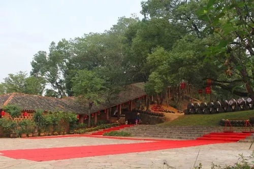 美丽义亭丨 红糖飘香 精品线,栖居在乡村里的诗与远方