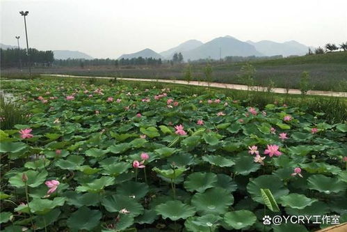周末梅河口自驾游去哪儿好玩