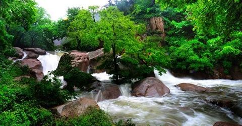 青岛人,首批 青岛森林氧吧 名单新鲜出炉,快去这些地方吸氧吧