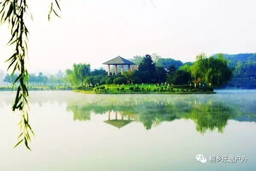 送土鸡9月19号周二 灵谷冬,龙背山,华东百畅生态园,包门票,包中餐,包无购物,再送鲜活土鸡 旅游 网