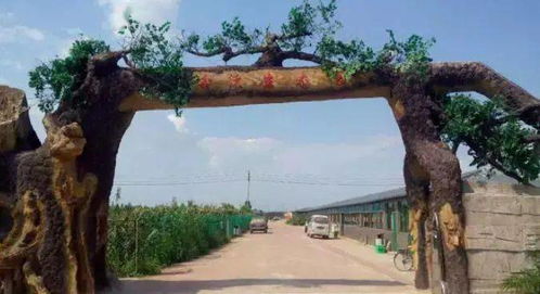 什么 仅需1元即可抢购这个滦州生态园的绿色生菜一大颗,这里还有菜地可认养