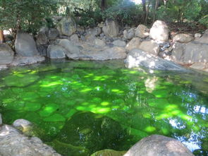 你又美了许多 弥勒