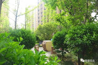 封顶大吉 热烈庆祝丽登 印象城三期荣耀封顶