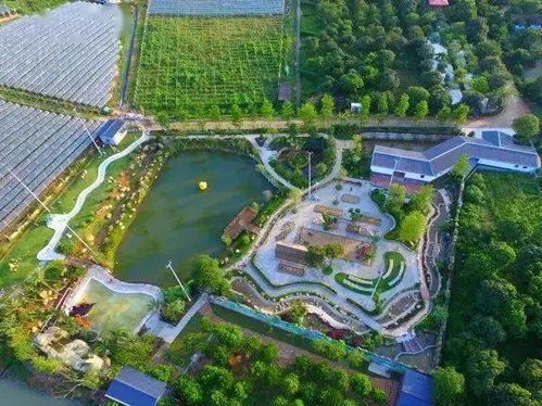 惠州这些地方,太好玩了 路线戳这里