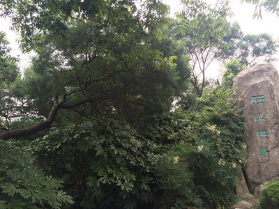 旺山-苏州最美的山村