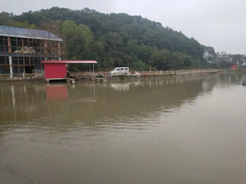 走进央视拍摄全州十大碗之 龙水禾花鱼 的聚龙生态园,感觉挺好