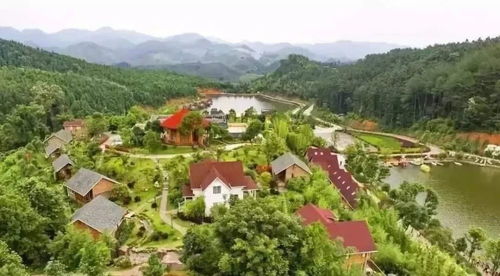 跨越山海 三明在福厦泉推介全域全时旅游与森林康养新体验