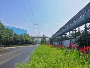 九龙潭生态园 独特生态旅游体验震撼市民心灵