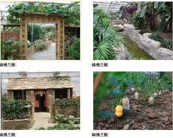 金秋之旅 兰陵生态园赏向阳花、品美酒一日游