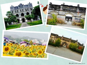 清新、自然，畅听未来——武宣环丰生态园与九龙潭生态园的生态之旅