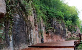 金钗石斛生态园与九龙潭生态园掠影