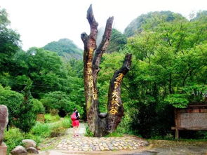 16周岁以下免票游世遗，668元泰宁双动车2日游 大金湖、寨下大峡谷、九龙潭、尚书第全览