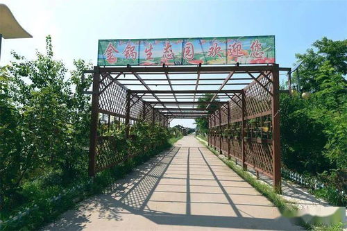 武清梅厂九龙潭生态园 一隅桃源的诗意栖居