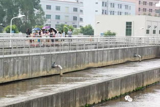 2016市民环保开放日 走进污水处理厂与湿地，共筑绿色东部生态园——九龙潭生态园活动回顾