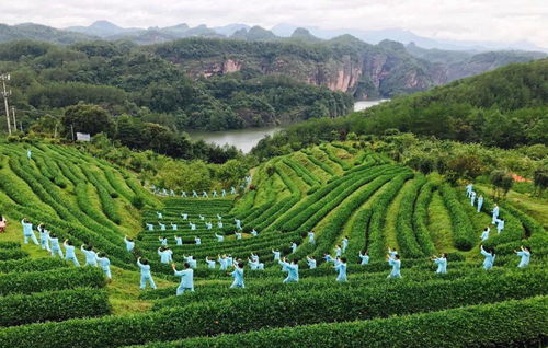 浴境元康养之气，九龙潭生态园祝您端午安康
