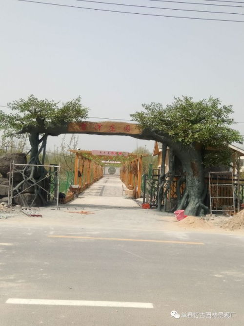 九龙潭生态园的仿木假树大门 自然与匠心的完美融合