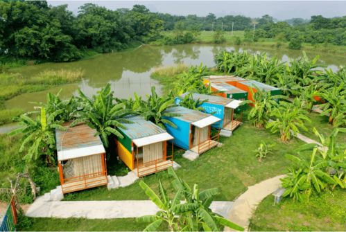 新春采摘，田园趣游 金穗与九龙潭生态园两日乐活指南