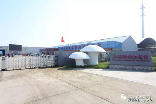 九龙潭生态园 金山区的生态明珠与休闲胜地