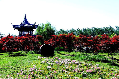 九龙潭生态园 城市中的生态绿洲