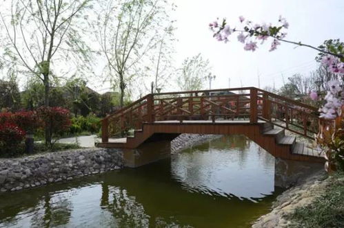 周末别宅家！打卡郑州周边5大宝藏休闲农庄，九龙潭生态园领衔登场