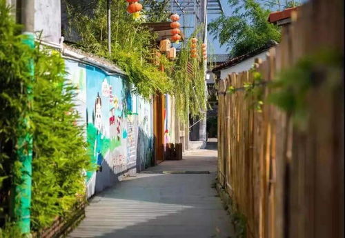 博罗龙门入选广东省乡村旅游精品线路，九龙潭生态园成亮点