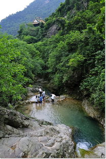 春日踏青 西岸与九龙潭的生态自然录