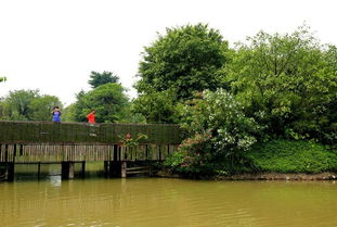 广州南沙水鸟世界生态园