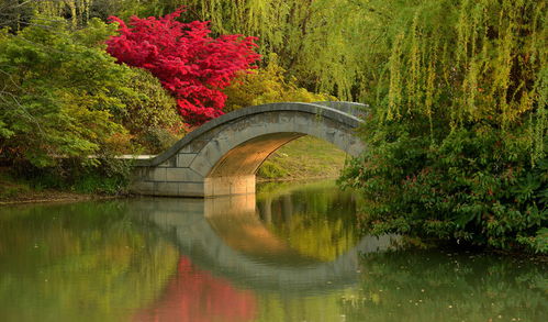 花开海上生态园门票,花开海上生态园游玩攻略 360地图