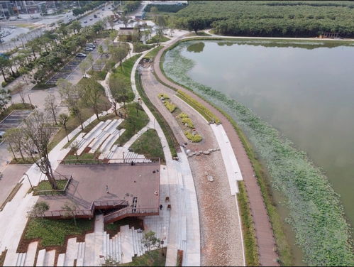 新会区人民政府