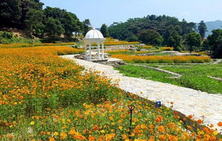 惠州龙门南昆山温泉大观园介绍 乐程网