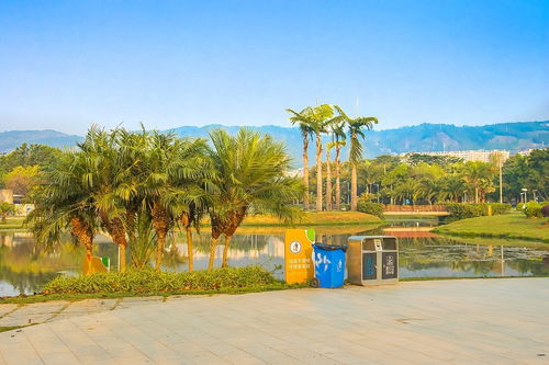 2025 08 04云南弥勒湖泉生态园 六