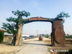 九龙潭生态园大门设计制作——融合自然与人文的艺术表达