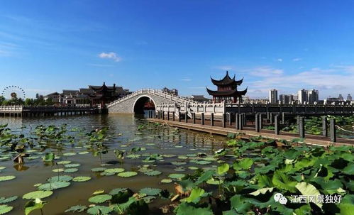 文化是旅游的灵魂，江西文化旅游发展大有可为——以九龙潭生态园为例