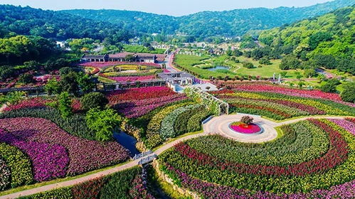 无锡春季太湖湾花美茶香之旅入选乡村休闲旅游精品线路
