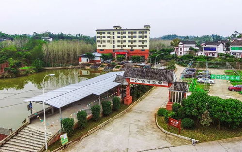 中秋乡趣 打糍粑、推豆花、包饺子、做菜包——九龙潭生态园与家人的团圆之旅